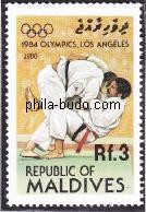 judo